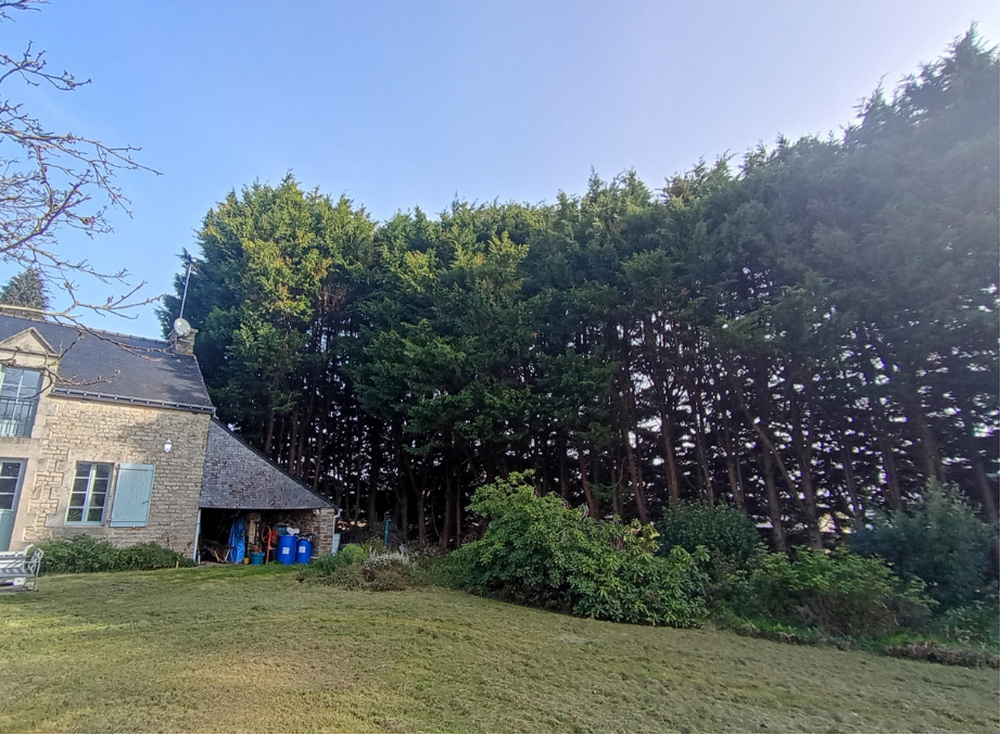 before-image