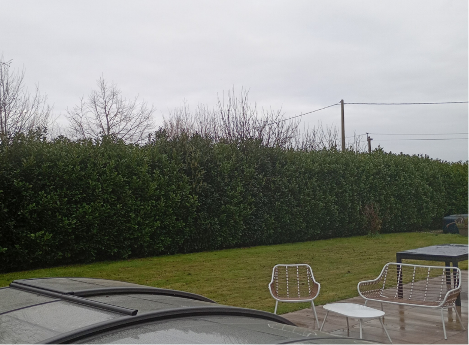 before-image