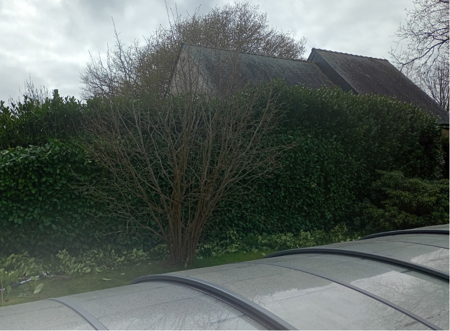 before-image