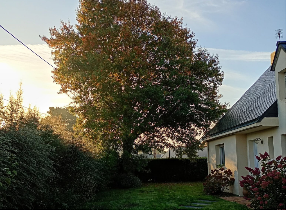 before-image