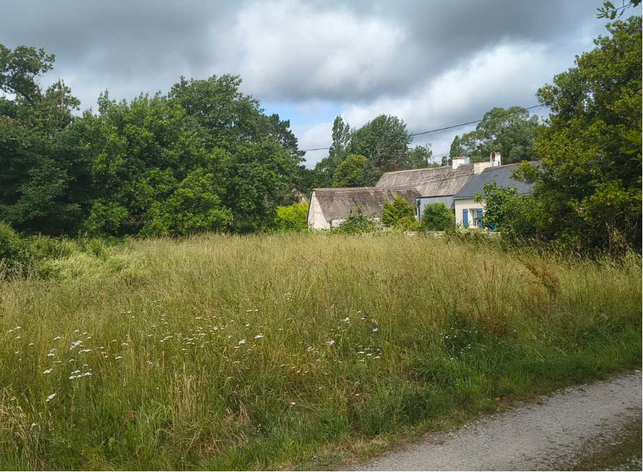 before-image