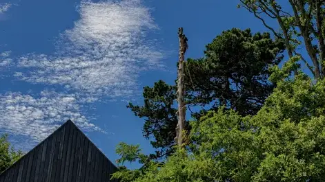 jardinier à La Baule-Escoublac - image 4
