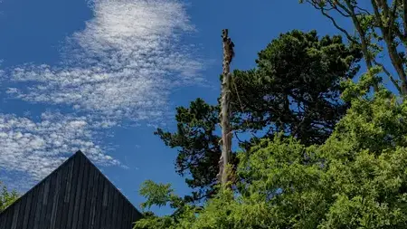 jardinier Sarzeau-5