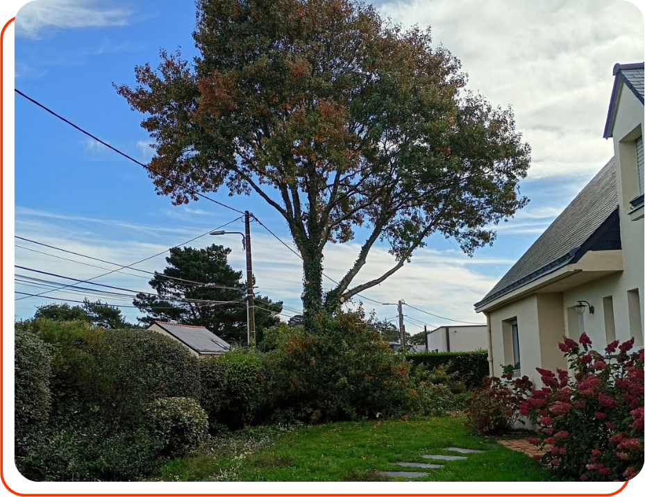 livraison bois de chauffage piriac sur mer