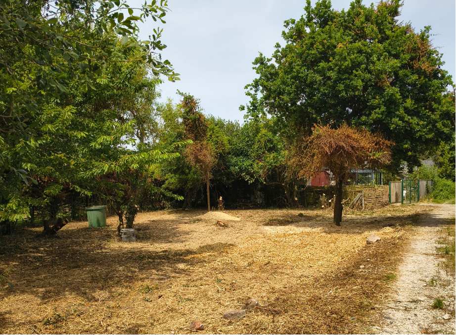 after-image