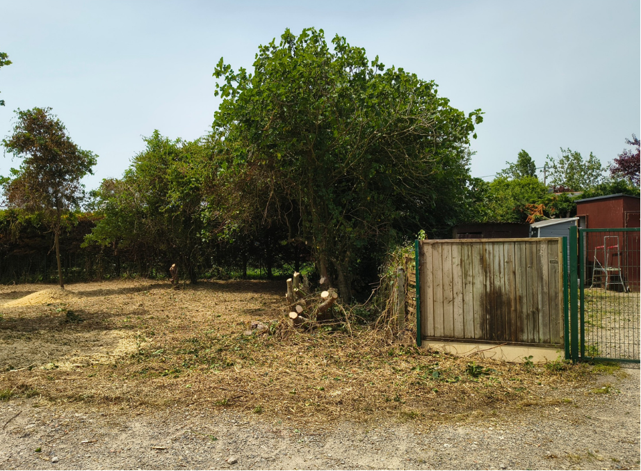 after-image