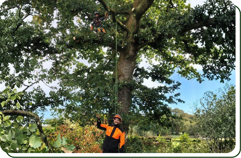 vente de bois pornichet